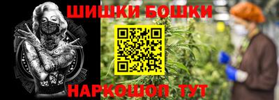 apvp Обь