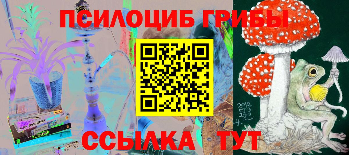 Унеча  Галлюциногенные грибы Cubensis  Вход с VPN 