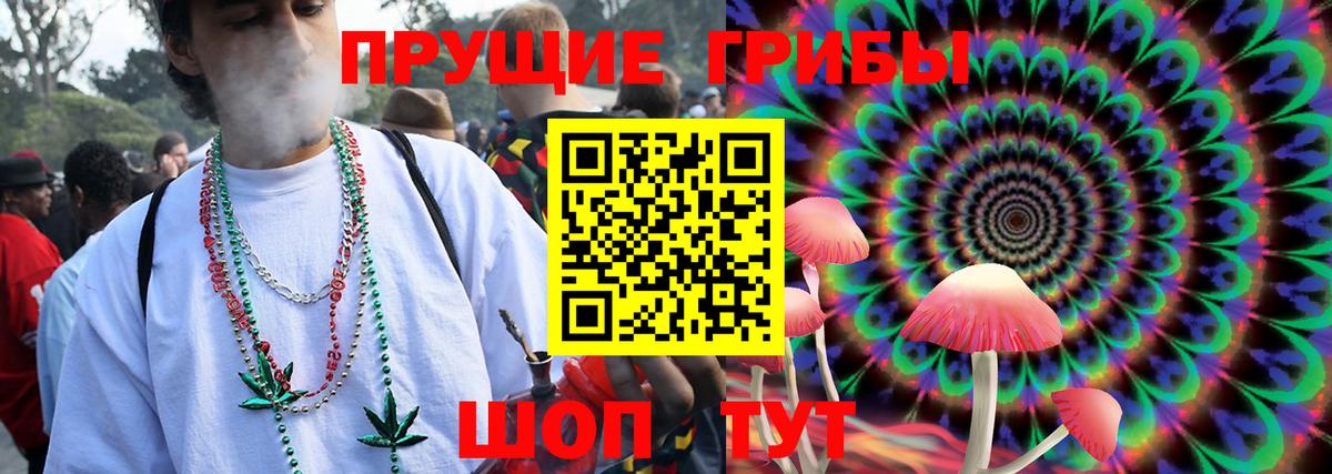 Псилоцибиновые грибы Psilocybe Унеча